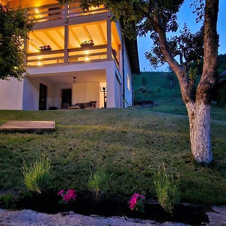 ホテル Casa Mara Vişeu de Sus エクステリア 写真