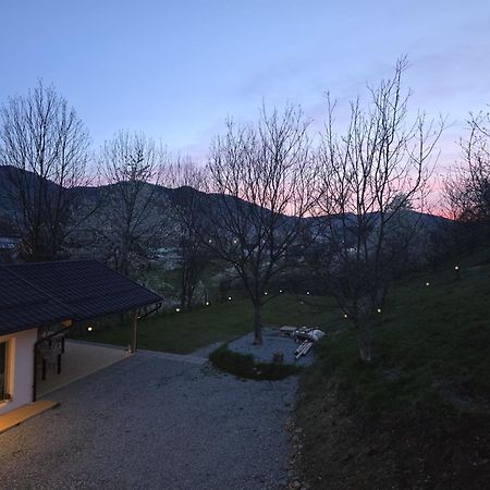 ホテル Casa Mara Vişeu de Sus エクステリア 写真