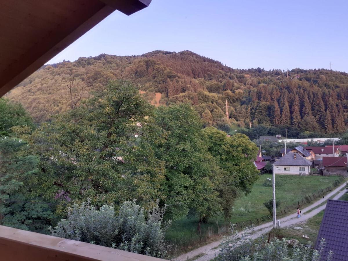 ホテル Casa Mara Vişeu de Sus エクステリア 写真