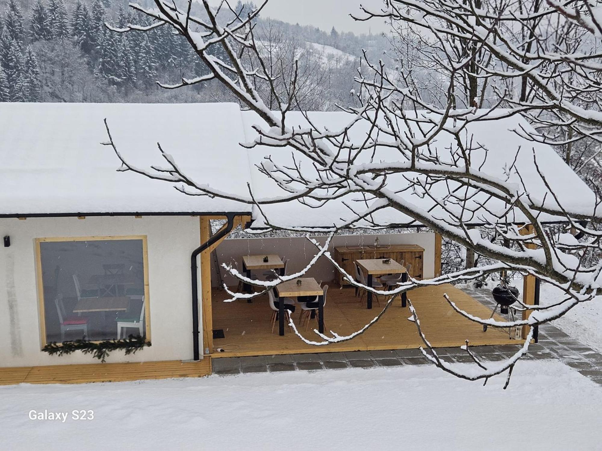 ホテル Casa Mara Vişeu de Sus エクステリア 写真