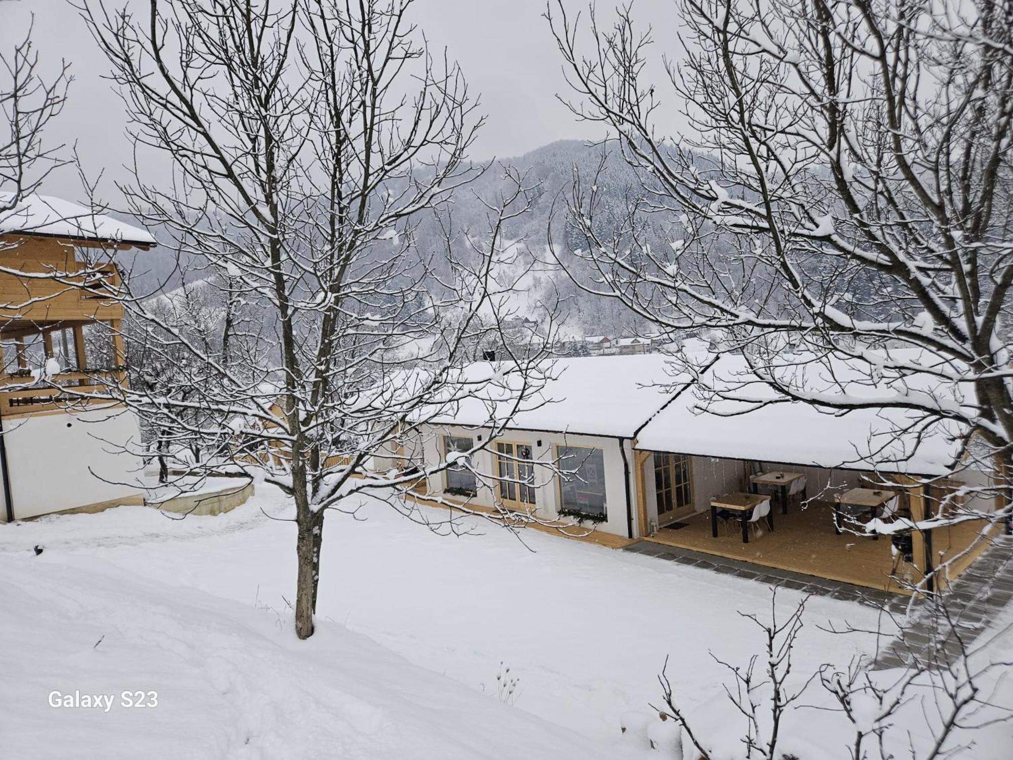 ホテル Casa Mara Vişeu de Sus エクステリア 写真