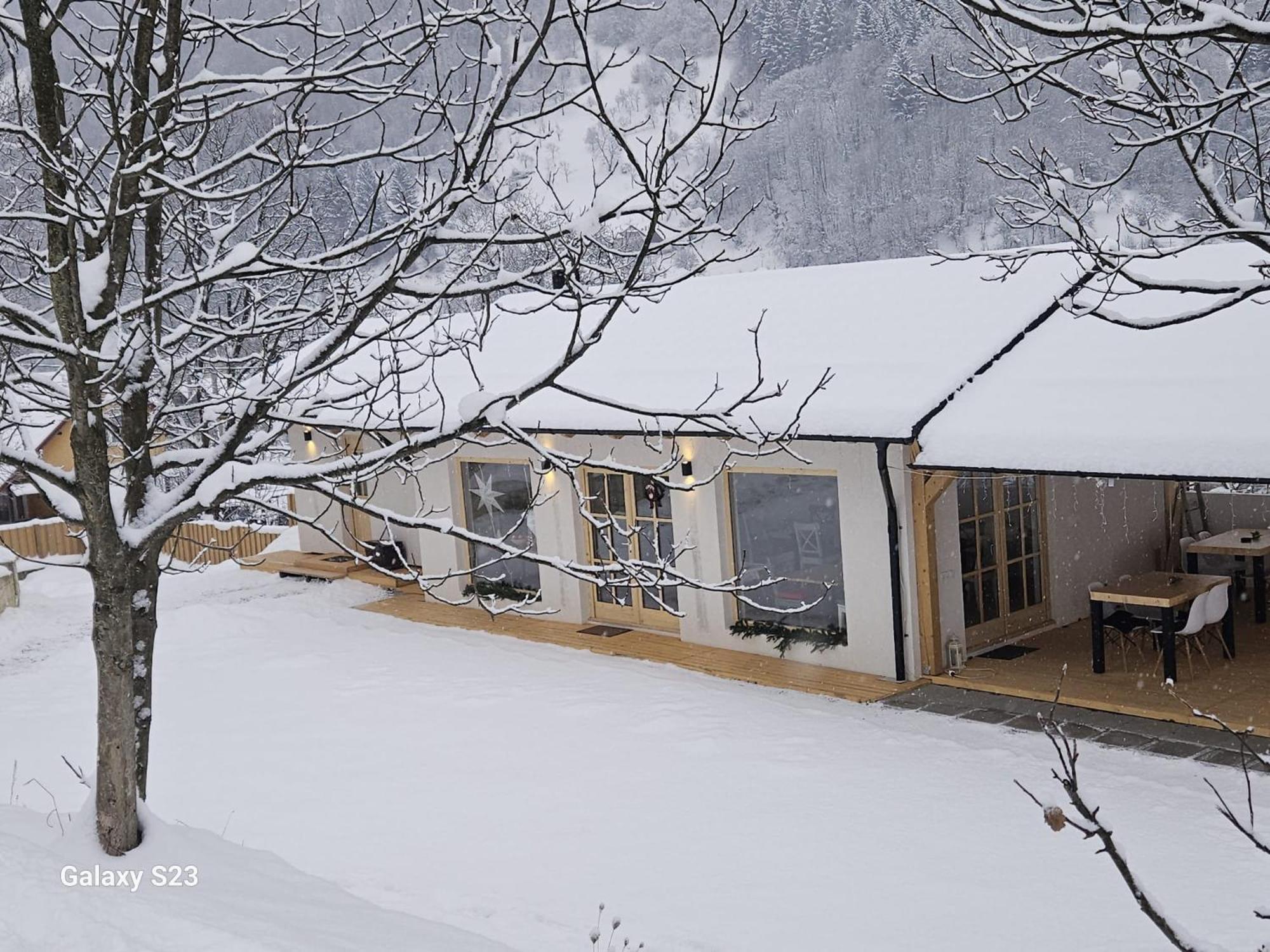 ホテル Casa Mara Vişeu de Sus エクステリア 写真
