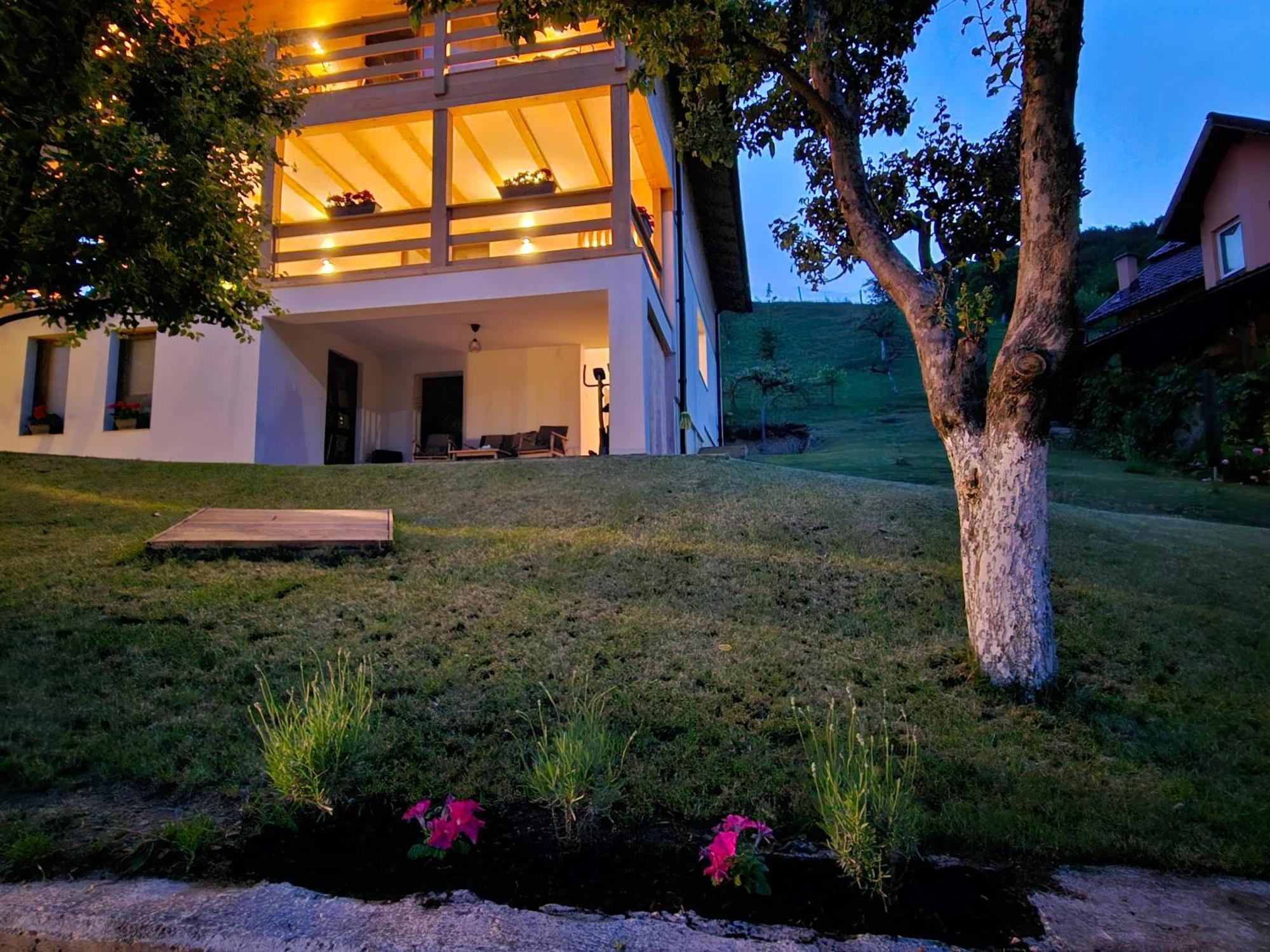 ホテル Casa Mara Vişeu de Sus エクステリア 写真