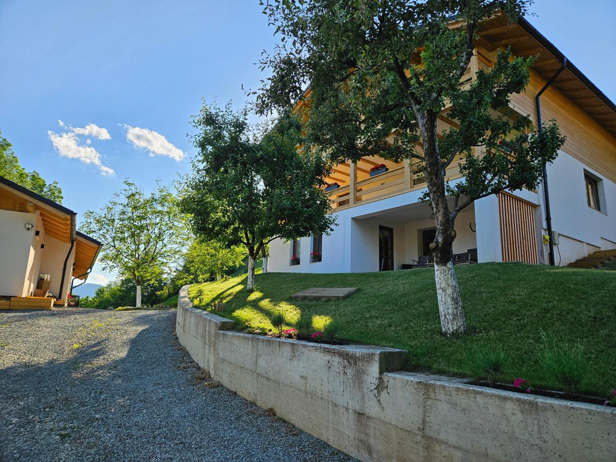 ホテル Casa Mara Vişeu de Sus エクステリア 写真