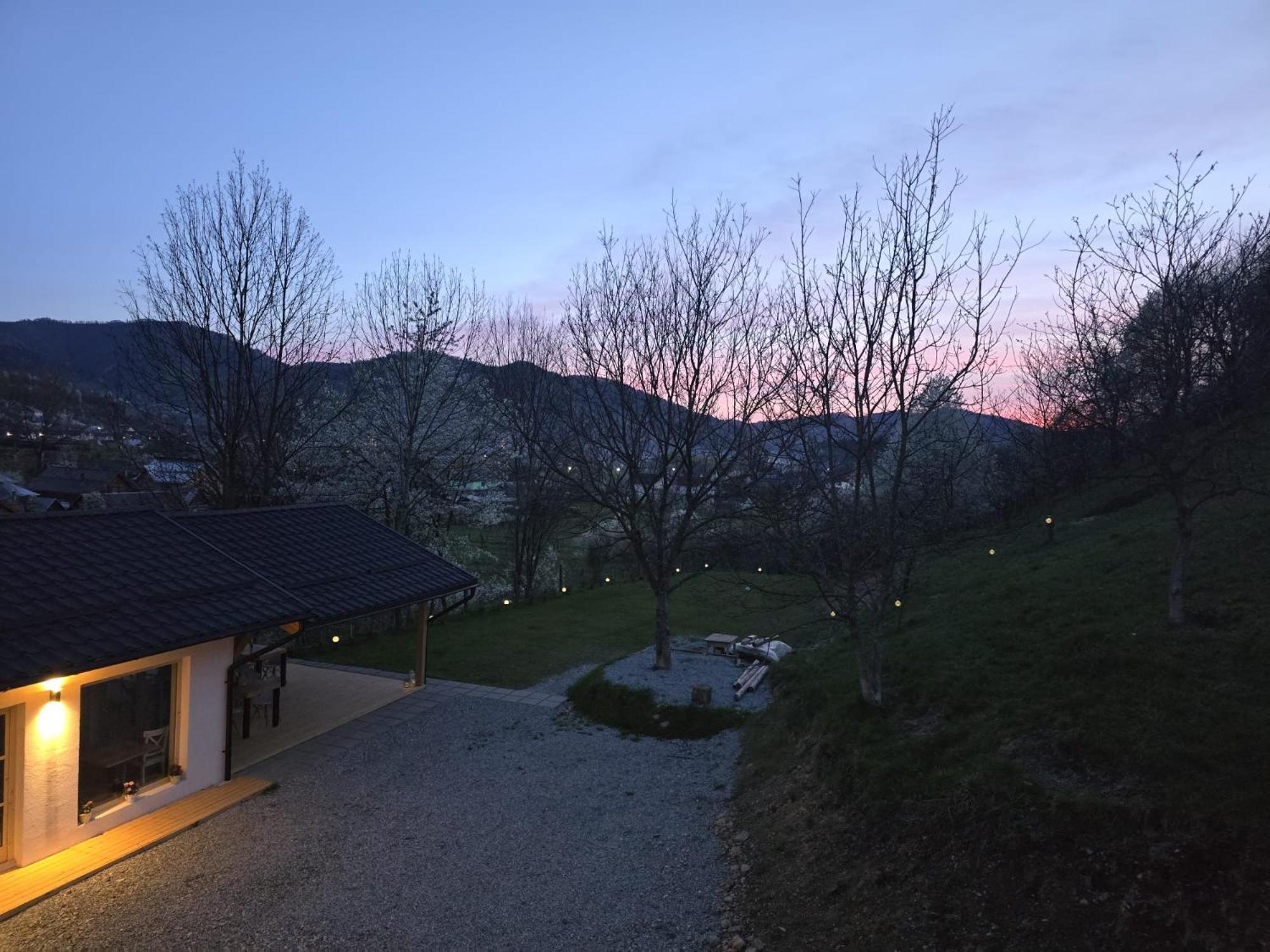 ホテル Casa Mara Vişeu de Sus エクステリア 写真